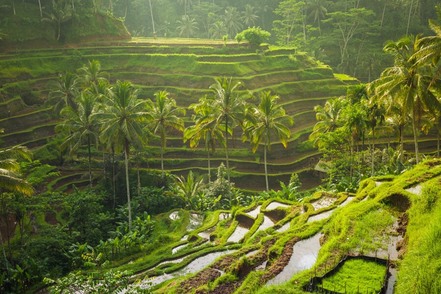 Ubud – finn balansen på Bali
