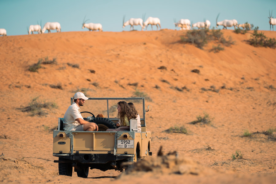 Jeepsafari i Al Wadi ørkenen