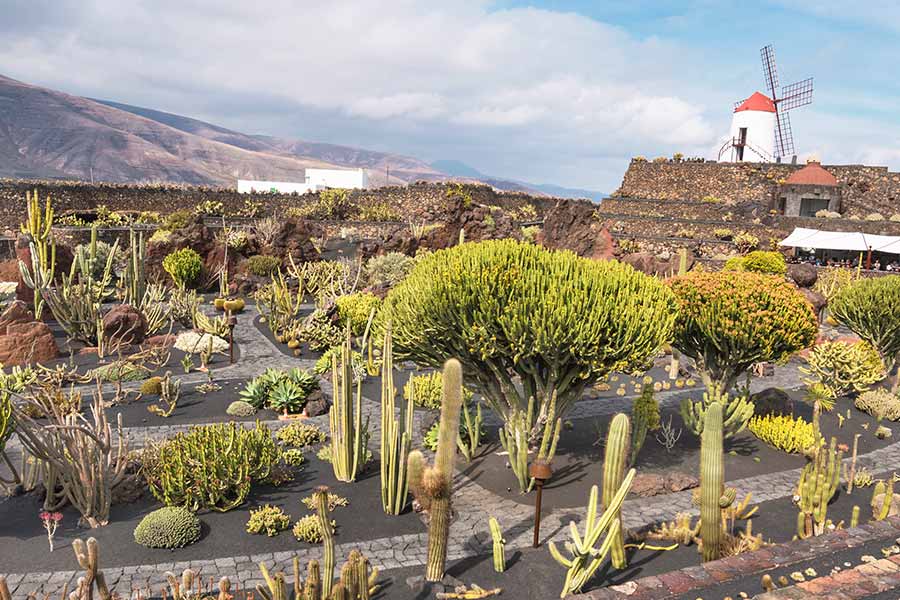 Jardín de Cactus på Lanzarote